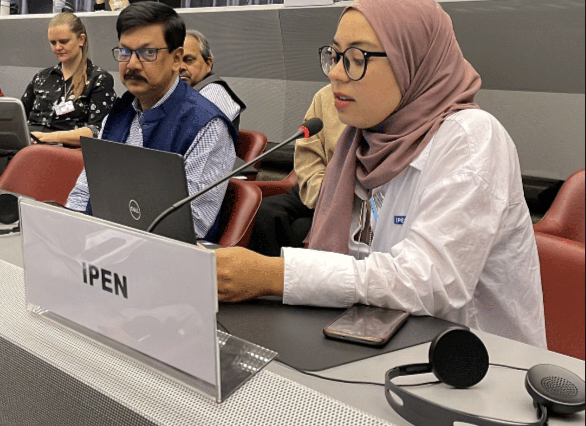 An IPEN member speaking at a global meeting